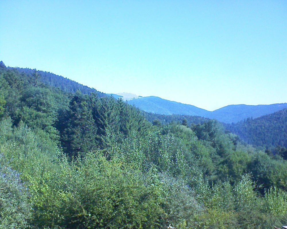 Le petit ballon (Alsace, Vosges) le 09.08.2022 à 10:15