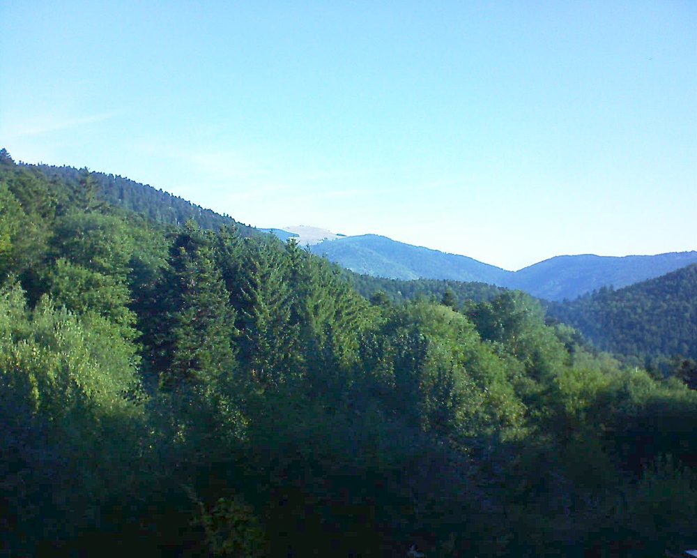 Le petit ballon (Alsace, Vosges) le 12.08.2022 à 09:00