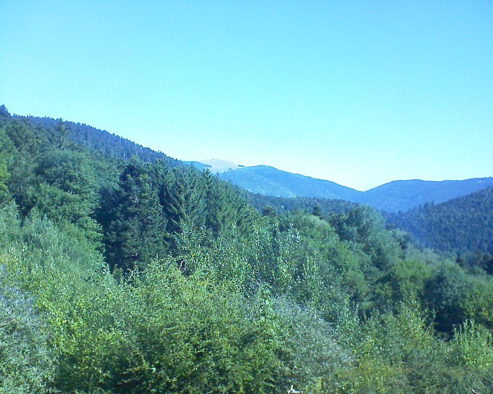 Le petit ballon (Alsace, Vosges) le 13.08.2022 à 10:15