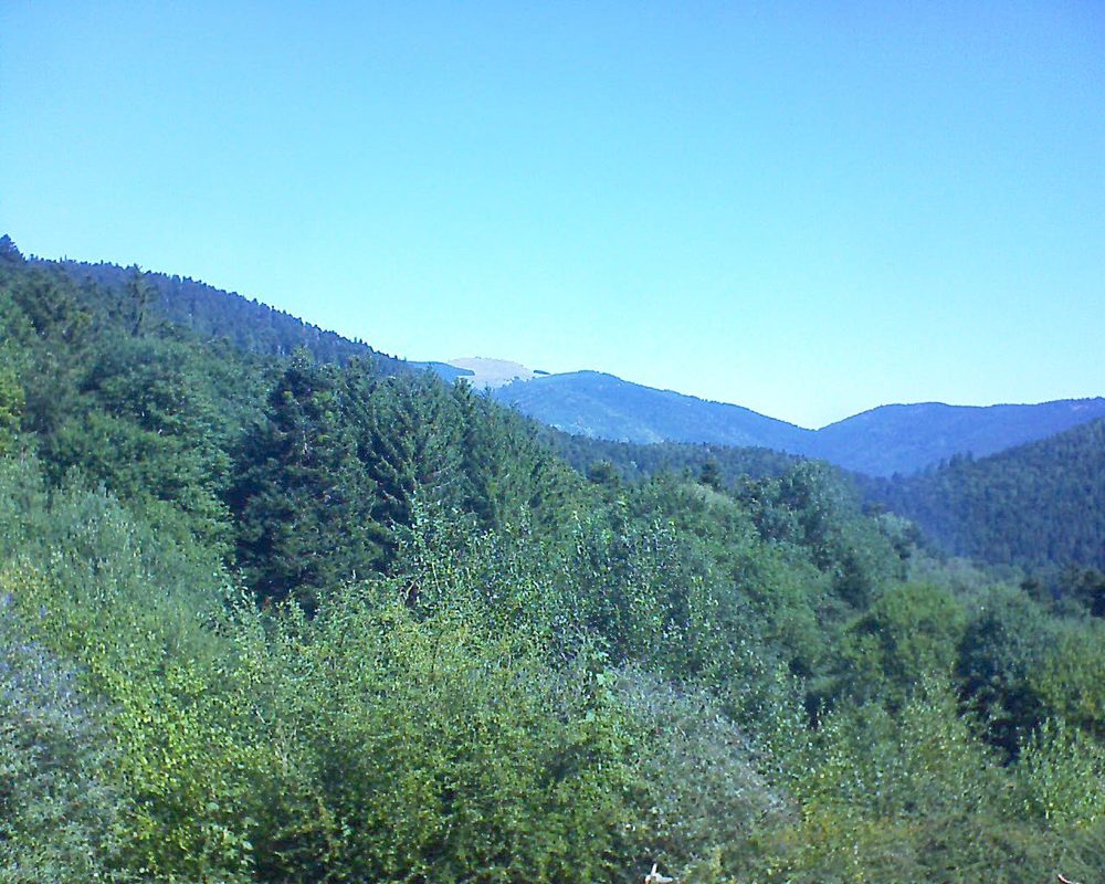 Le petit ballon vu depuis le Domaine Langmatt à Murbach le 13.08.2022 à 11:15 Le petit ballon (Alsace, Vosges) le 13.08.2022 à 11:15