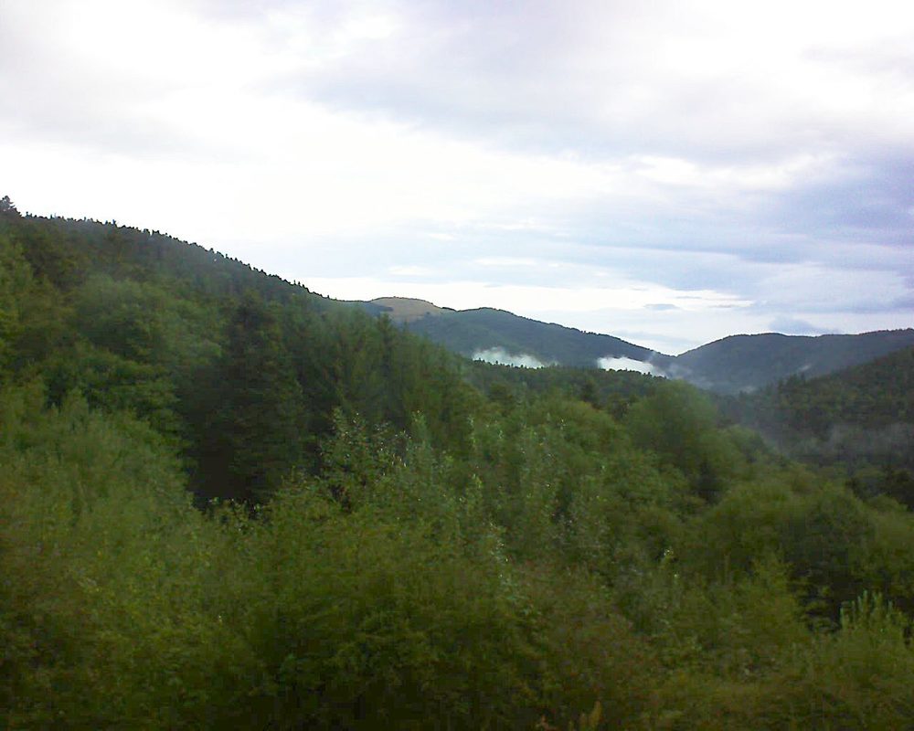 Le petit ballon (Alsace, Vosges) le 20.08.2022 à 08:15