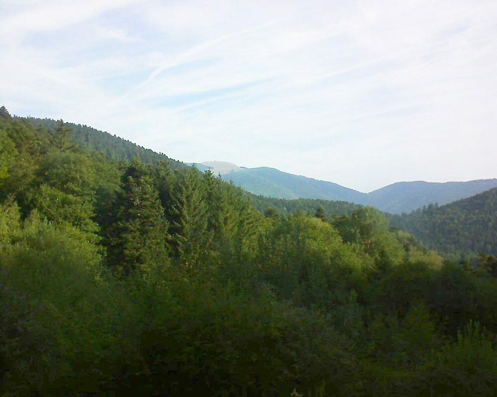 Le petit ballon (Alsace, Vosges) le 29.08.2022 à 09:15