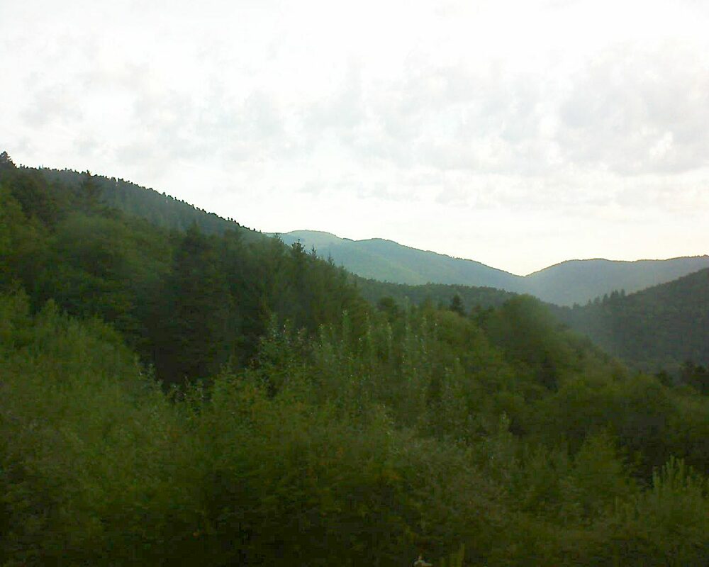 Le petit ballon (Alsace, Vosges) le 30.08.2022 à 07:15