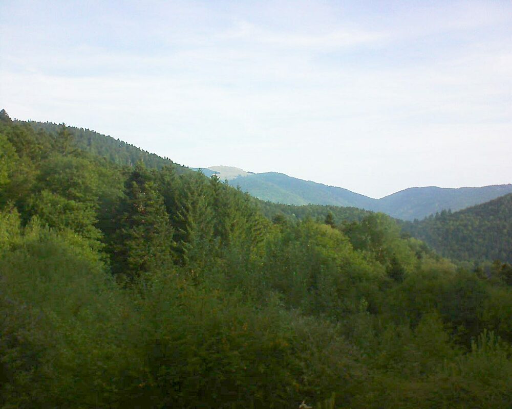Le petit ballon (Alsace, Vosges) le 30.08.2022 à 09:15