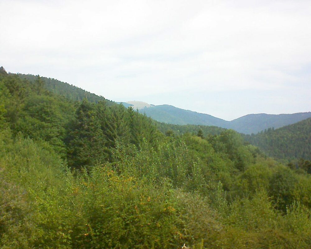 Le petit ballon vu depuis le Domaine Langmatt à Murbach le 30.08.2022 à 11:15 Le petit ballon (Alsace, Vosges) le 30.08.2022 à 11:15