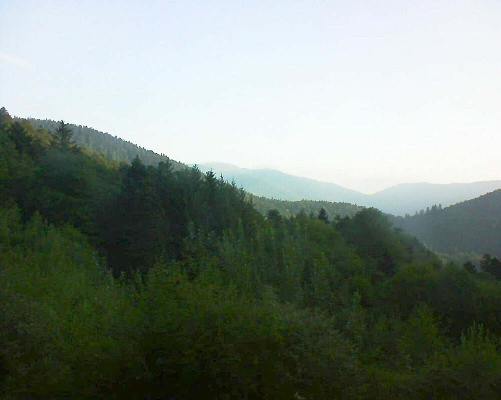 Le petit ballon (Alsace, Vosges) le 01.09.2022 à 07:45
