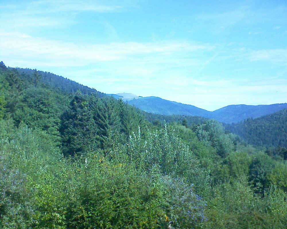 Le petit ballon (Alsace, Vosges) le 06.09.2022 à 11:15