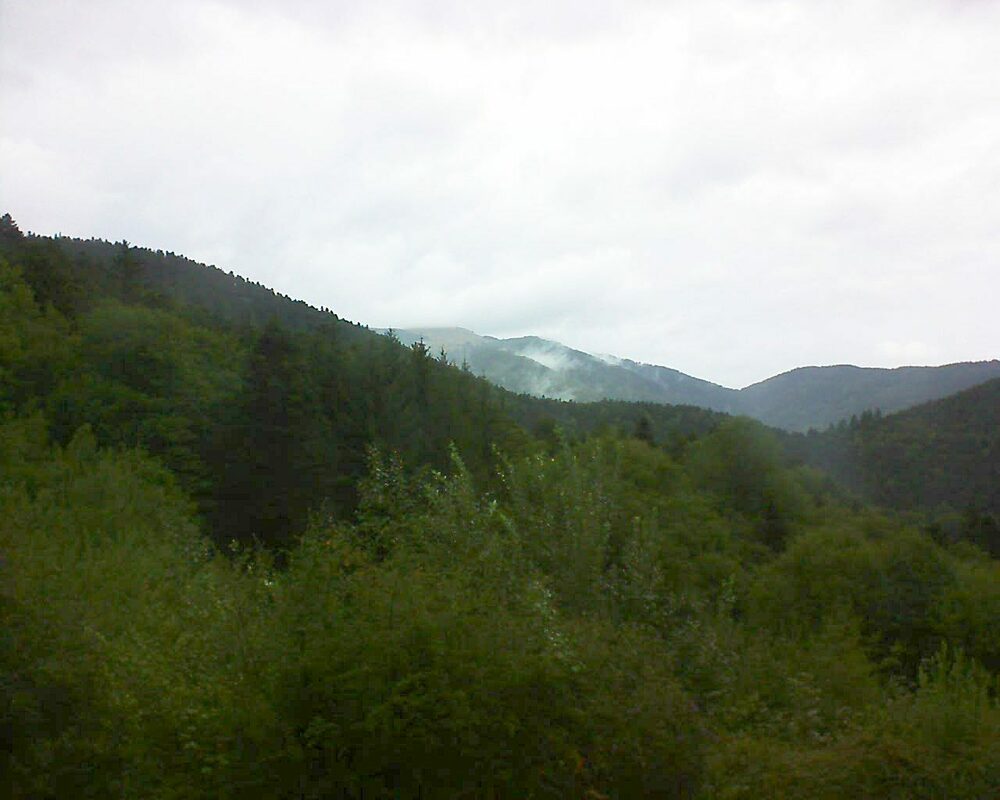 Le petit ballon (Alsace, Vosges) le 10.09.2022 à 10:15