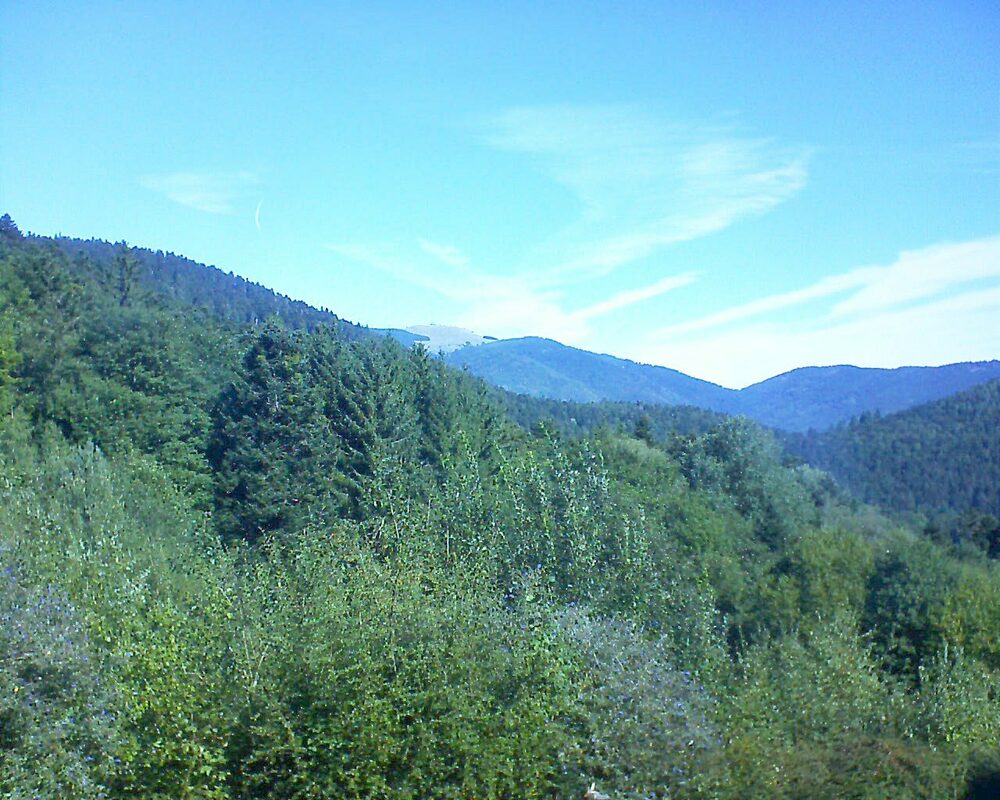 Le petit ballon (Alsace, Vosges) le 12.09.2022 à 11:15