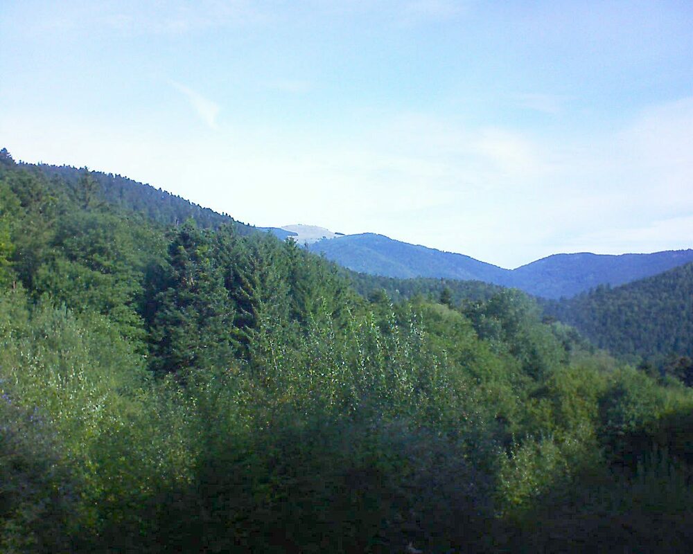 Le petit ballon (Alsace, Vosges) le 13.09.2022 à 10:30