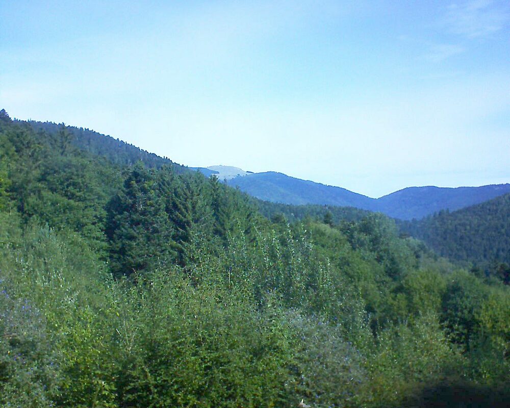 Le petit ballon (Alsace, Vosges) le 13.09.2022 à 11:00