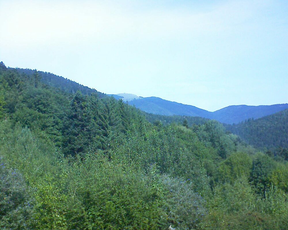 Le petit ballon (Alsace, Vosges) le 13.09.2022 à 12:15