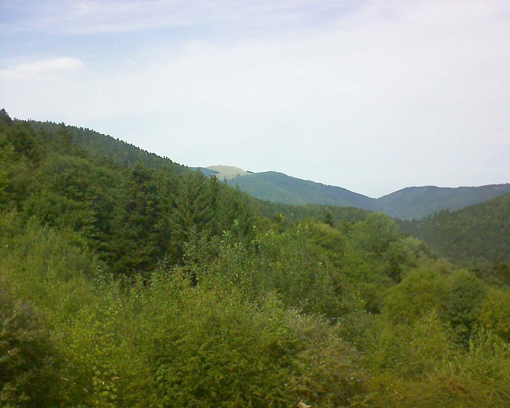 Le petit ballon vu depuis le Domaine Langmatt à Murbach le 13.09.2022 à 14:15 Le petit ballon (Alsace, Vosges) le 13.09.2022 à 14:15