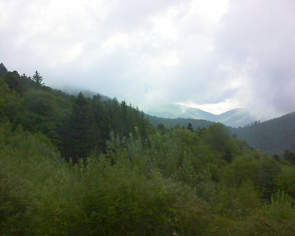 Le petit ballon (Alsace, Vosges) le 16.09.2022 à 11:15
