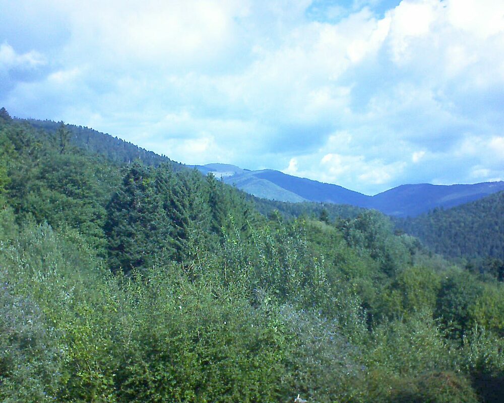 Le petit ballon (Alsace, Vosges) le 20.09.2022 à 11:15