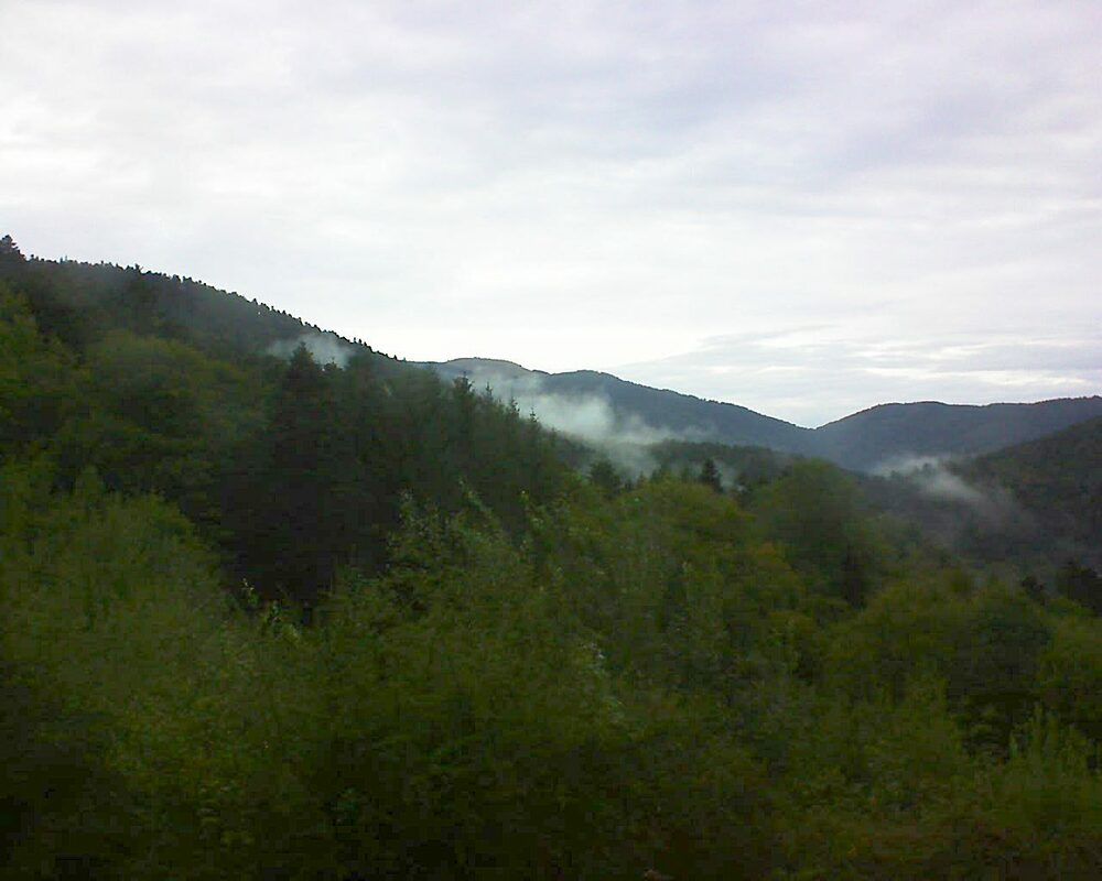 Le petit ballon (Alsace, Vosges) le 29.09.2022 à 09:00