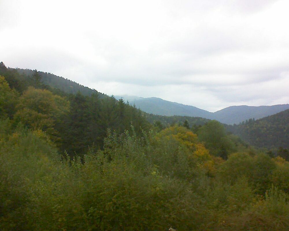 Le petit ballon (Alsace, Vosges) le 06.10.2022 à 09:00