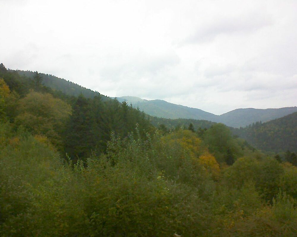 Le petit ballon (Alsace, Vosges) le 13.10.2022 à 11:15