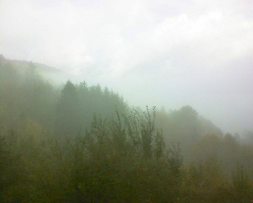 Le petit ballon (Alsace, Vosges) le 09.11.2022 à 09:00