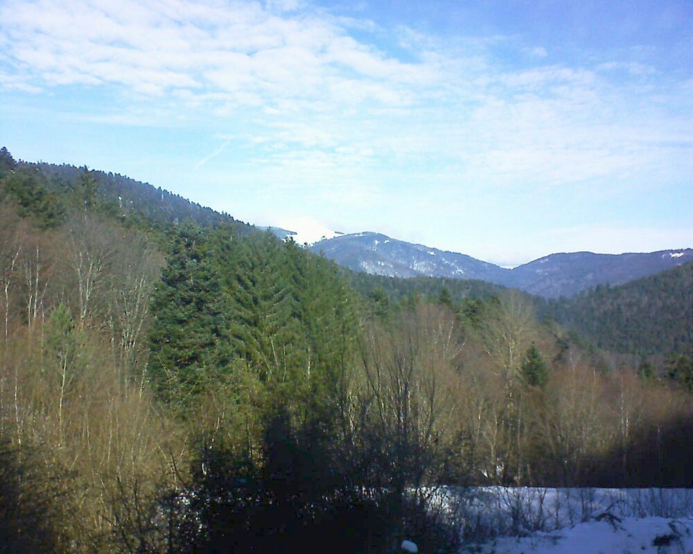 Le petit ballon vu depuis le Domaine Langmatt à Murbach le 31.01.2023 à 11:45 Le petit ballon (Alsace, Vosges) le 31.01.2023 à 11:45