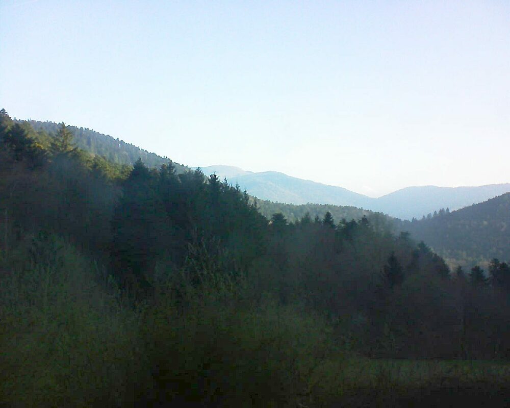 Le petit ballon (Alsace, Vosges) le 09.04.2023 à 08:15