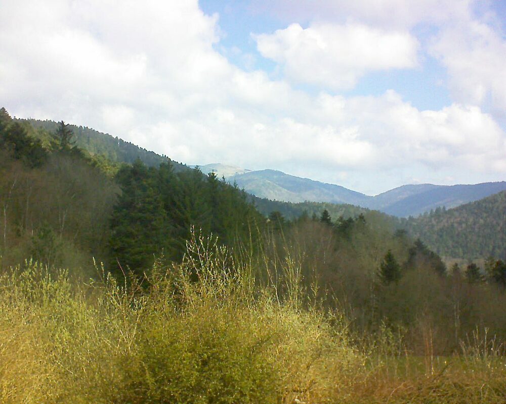 Le petit ballon (Alsace, Vosges) le 09.04.2023 à 11:00