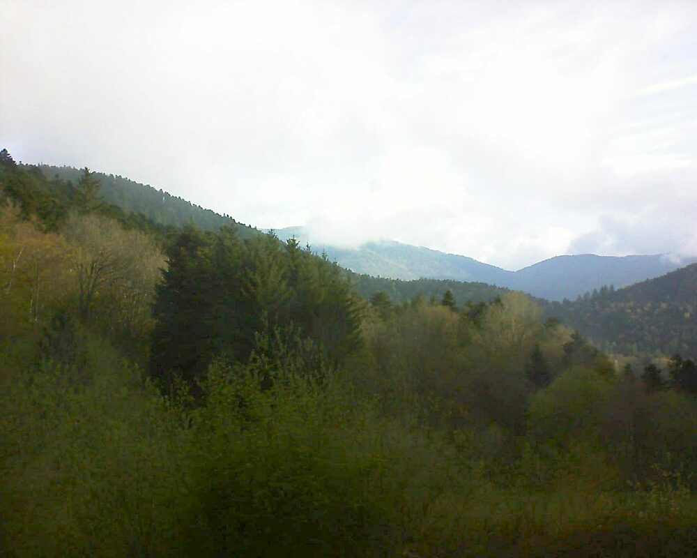 Le petit ballon (Alsace, Vosges) le 26.04.2023 à 08:15