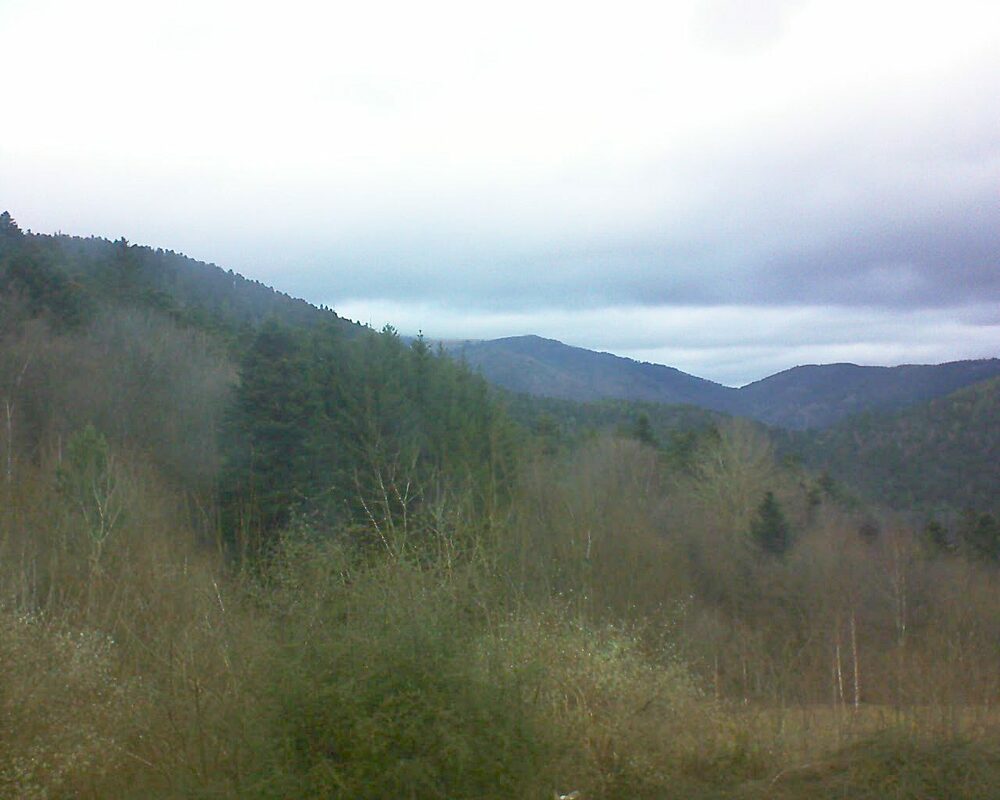 Le petit ballon vu depuis le Domaine Langmatt à Murbach le 28.12.2023 à 15:45 Le petit ballon (Alsace, Vosges) le 28.12.2023 à 15:45
