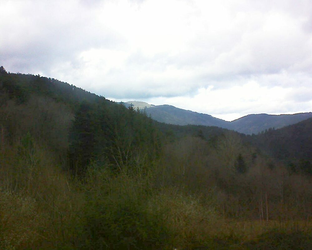 Le petit ballon vu depuis le Domaine Langmatt à Murbach le 29.12.2023 à 15:15 Le petit ballon (Alsace, Vosges) le 29.12.2023 à 15:15
