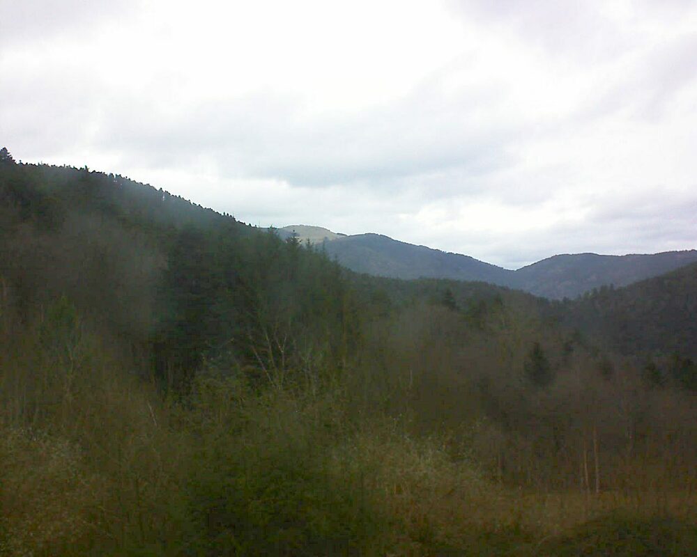 Le petit ballon vu depuis le Domaine Langmatt à Murbach le 05.01.2024 à 14:30 Le petit ballon (Alsace, Vosges) le 05.01.2024 à 14:30