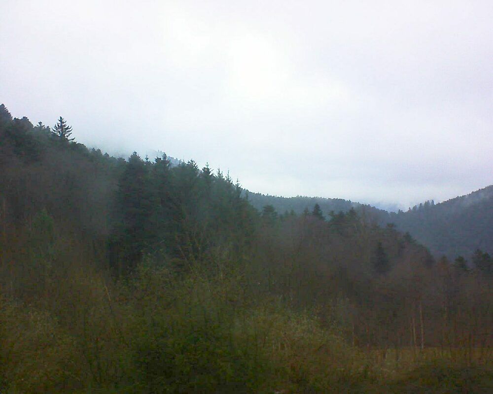 Le petit ballon (Alsace, Vosges) le 07.01.2024 à 15:30