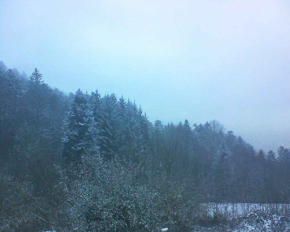 Le petit ballon (Alsace, Vosges) le 10.01.2024 à 15:30