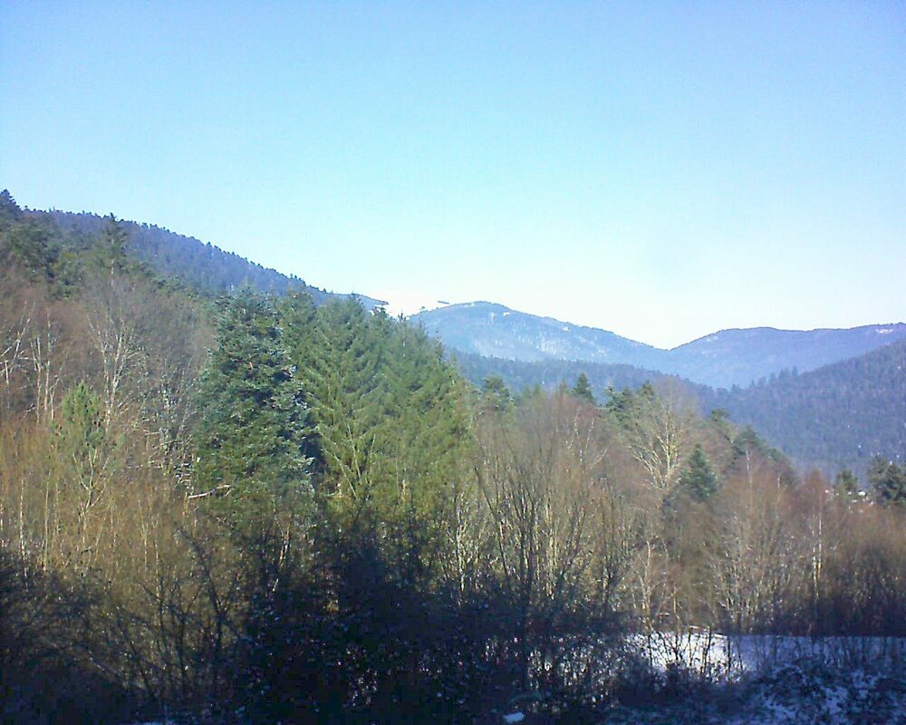 Le petit ballon vu depuis le Domaine Langmatt à Murbach le 12.01.2024 à 12:30 Le petit ballon (Alsace, Vosges) le 12.01.2024 à 12:30