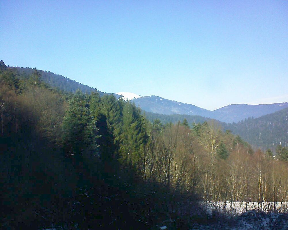 Le petit ballon vu depuis le Domaine Langmatt à Murbach le 12.01.2024 à 13:30 Le petit ballon (Alsace, Vosges) le 12.01.2024 à 13:30
