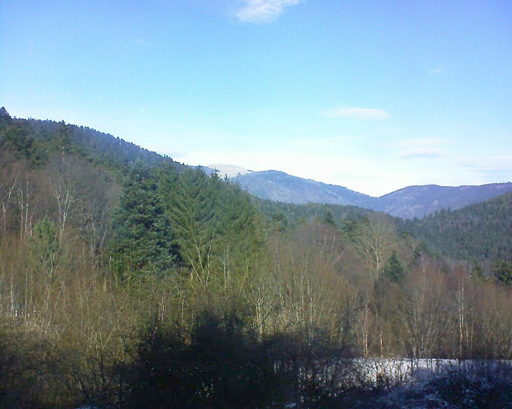 Le petit ballon vu depuis le Domaine Langmatt à Murbach le 21.01.2024 à 12:30 Le petit ballon (Alsace, Vosges) le 21.01.2024 à 12:30