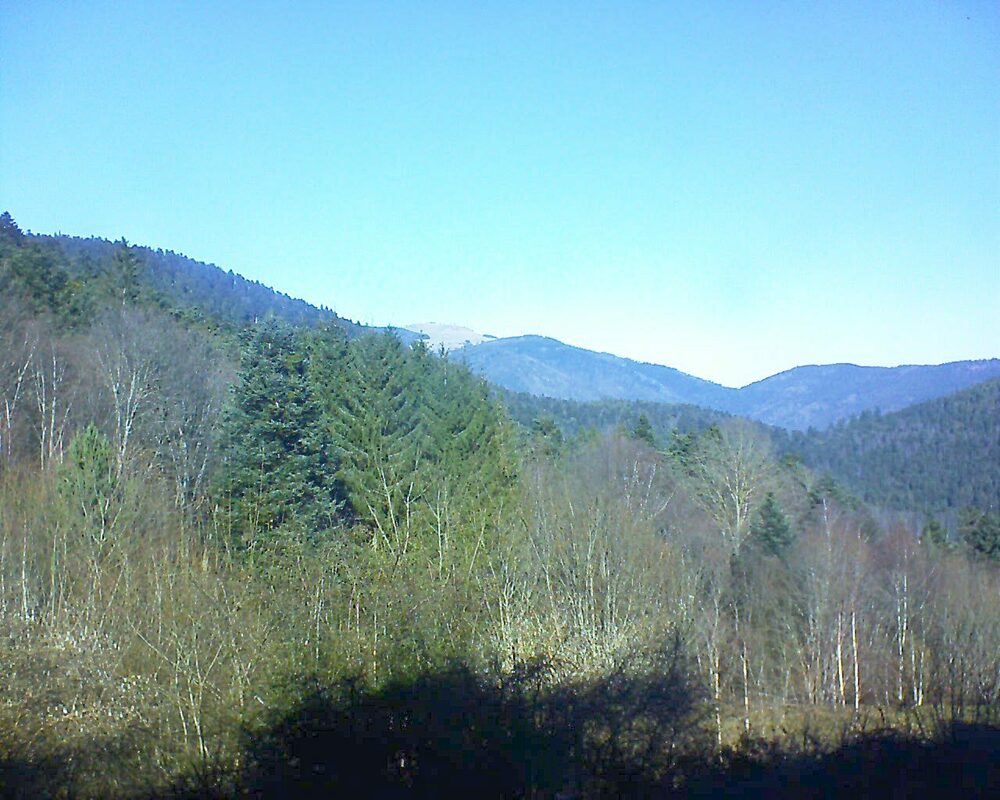 Le petit ballon vu depuis le Domaine Langmatt à Murbach le 28.01.2024 à 12:30 Le petit ballon (Alsace, Vosges) le 28.01.2024 à 12:30
