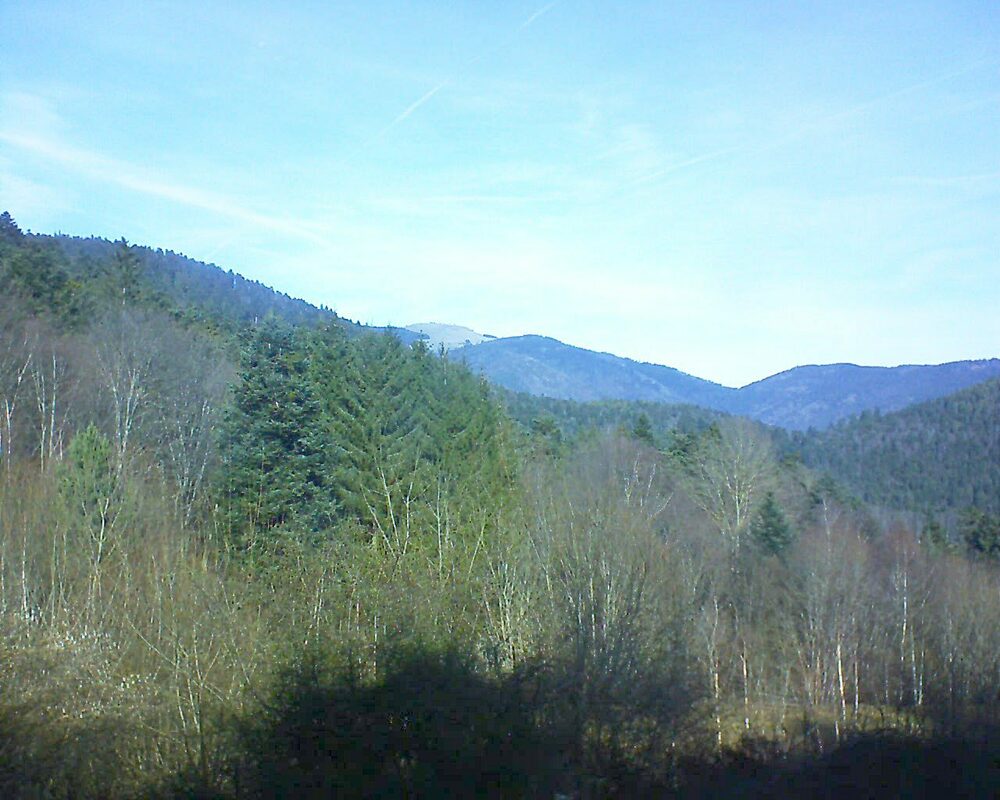 Le petit ballon vu depuis le Domaine Langmatt à Murbach le 29.01.2024 à 12:15 Le petit ballon (Alsace, Vosges) le 29.01.2024 à 12:15