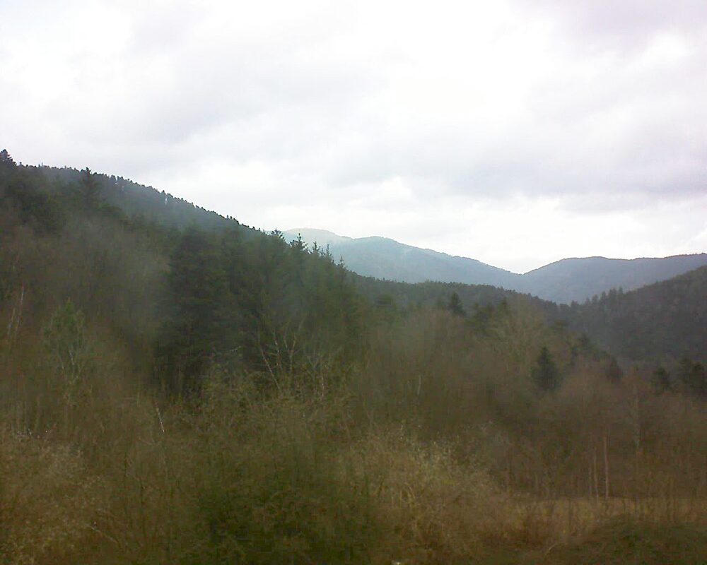 Le petit ballon vu depuis le Domaine Langmatt à Murbach le 07.02.2024 à 15:30 Le petit ballon (Alsace, Vosges) le 07.02.2024 à 15:30