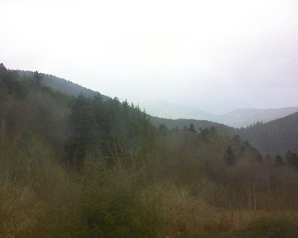 Le petit ballon vu depuis le Domaine Langmatt à Murbach le 09.02.2024 à 11:30 Le petit ballon (Alsace, Vosges) le 09.02.2024 à 11:30