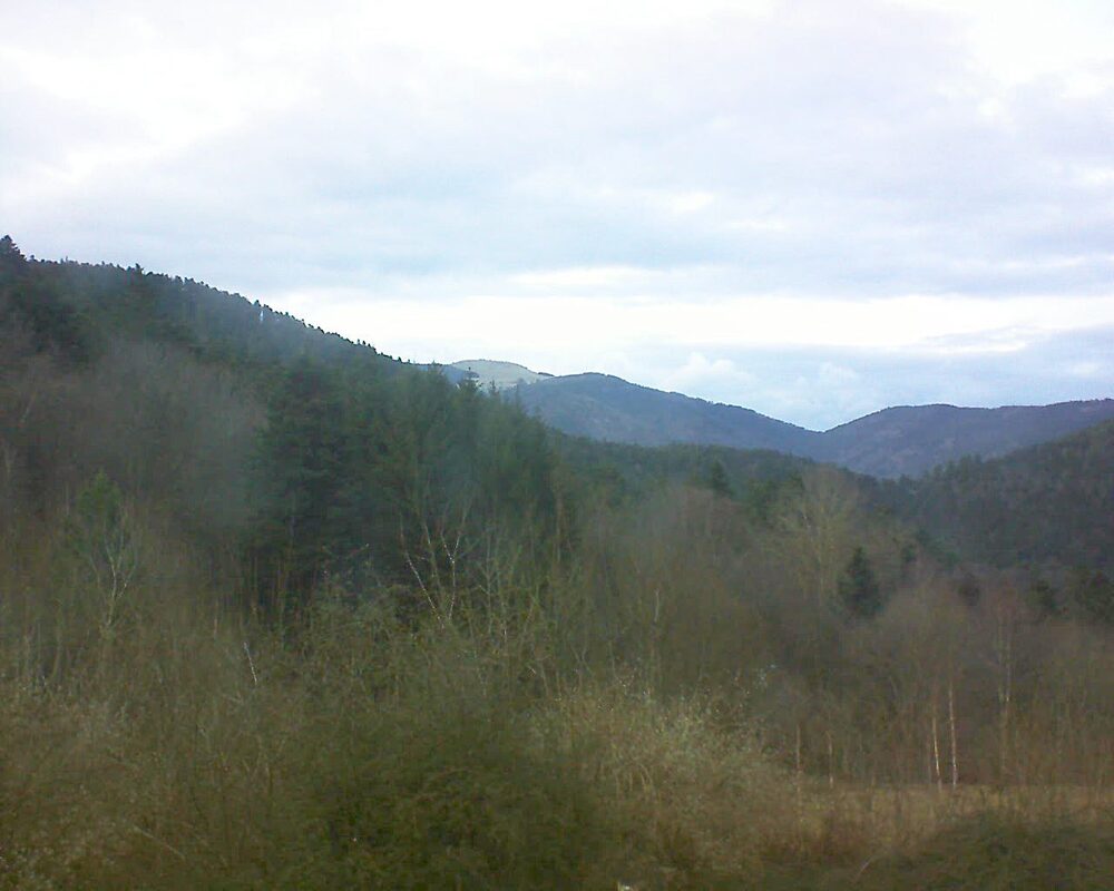 Le petit ballon vu depuis le Domaine Langmatt à Murbach le 12.02.2024 à 16:30 Le petit ballon (Alsace, Vosges) le 12.02.2024 à 16:30