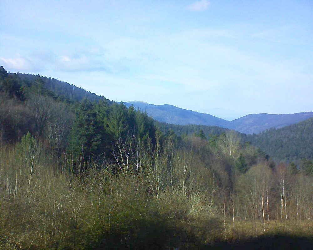 Le petit ballon vu depuis le Domaine Langmatt à Murbach le 28.02.2024 à 15:30 Le petit ballon (Alsace, Vosges) le 28.02.2024 à 15:30
