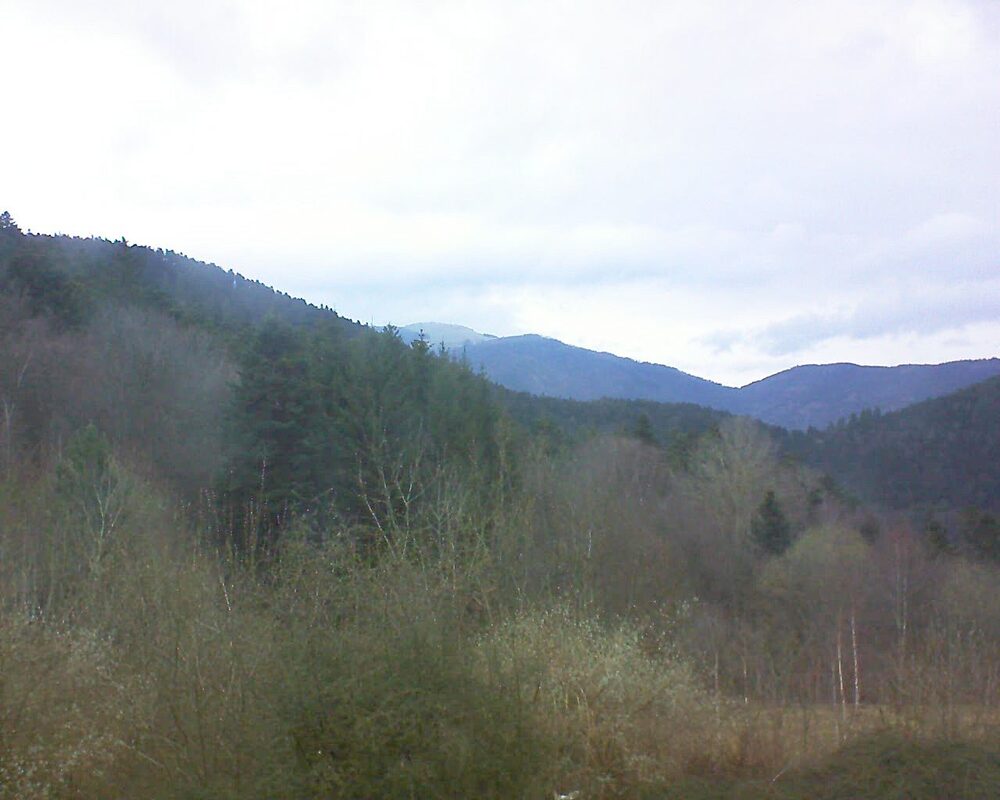 Le petit ballon (Alsace, Vosges) le 05.03.2024 à 07:45