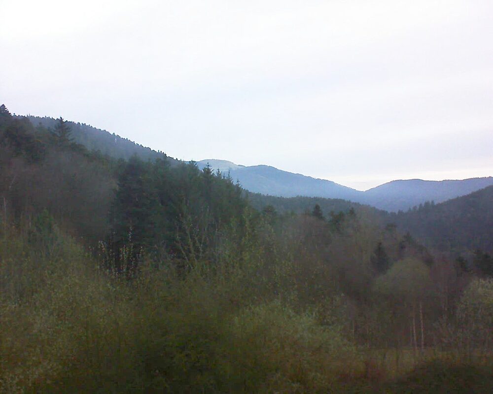 Le petit ballon vu depuis le Domaine Langmatt à Murbach le 17.03.2024 à 07:15 Le petit ballon (Alsace, Vosges) le 17.03.2024 à 07:15
