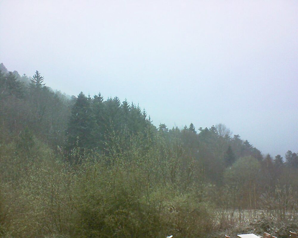 Le petit ballon (Alsace, Vosges) le 24.03.2024 à 07:15