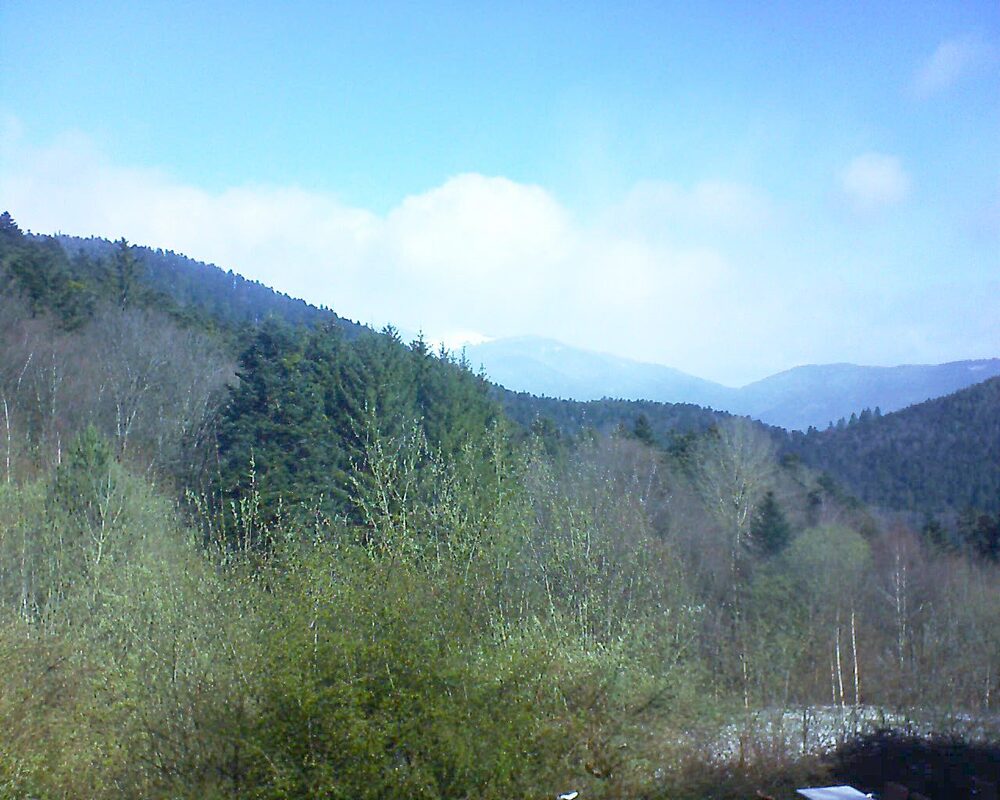 Le petit ballon (Alsace, Vosges) le 24.03.2024 à 10:15