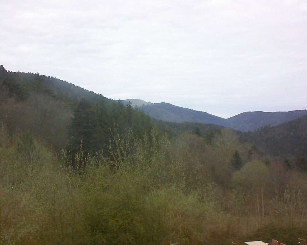 Le petit ballon vu depuis le Domaine Langmatt à Murbach le 26.03.2024 à 07:45 Le petit ballon (Alsace, Vosges) le 26.03.2024 à 07:45