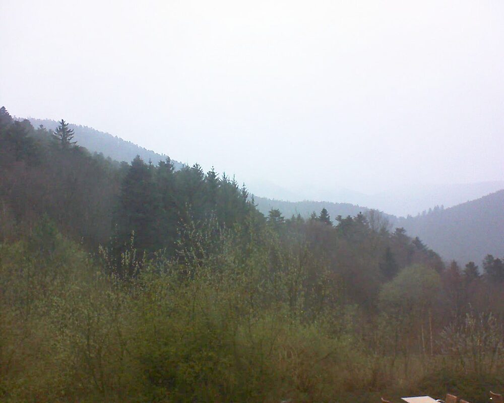 Le petit ballon (Alsace, Vosges) le 28.03.2024 à 07:45