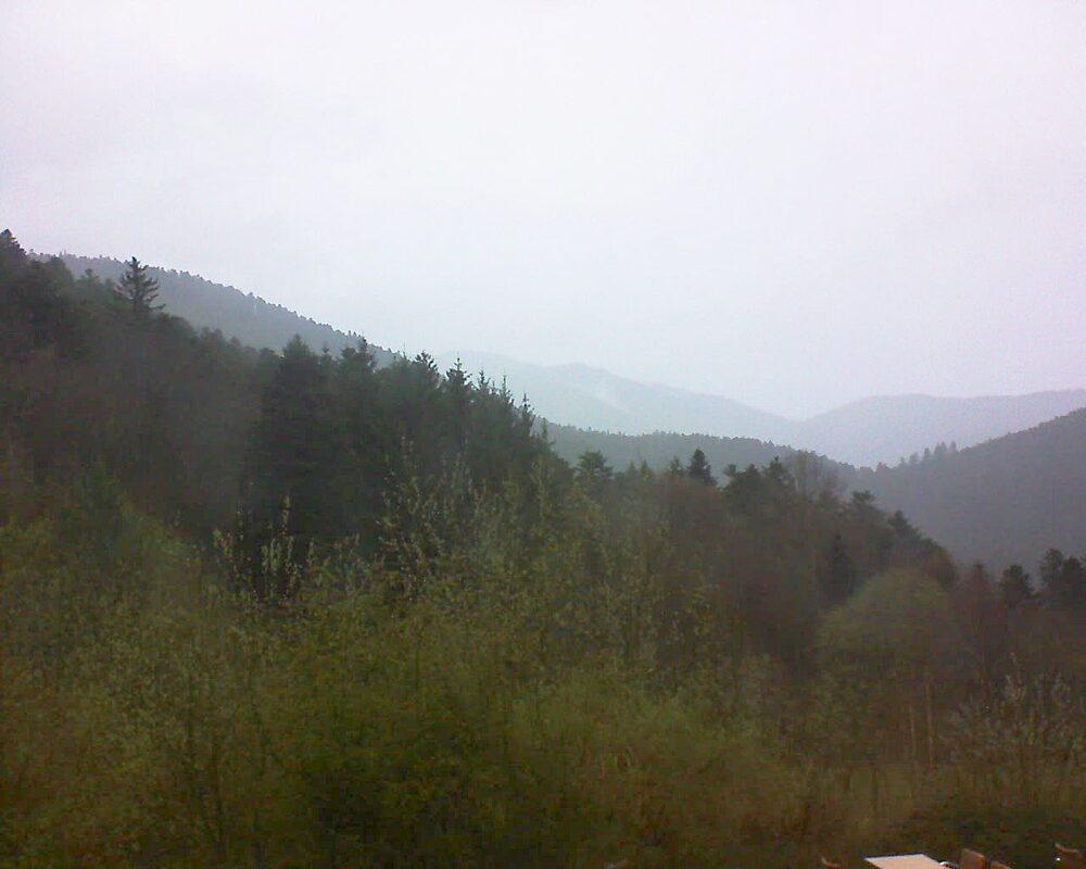 Le petit ballon (Alsace, Vosges) le 29.03.2024 à 07:30
