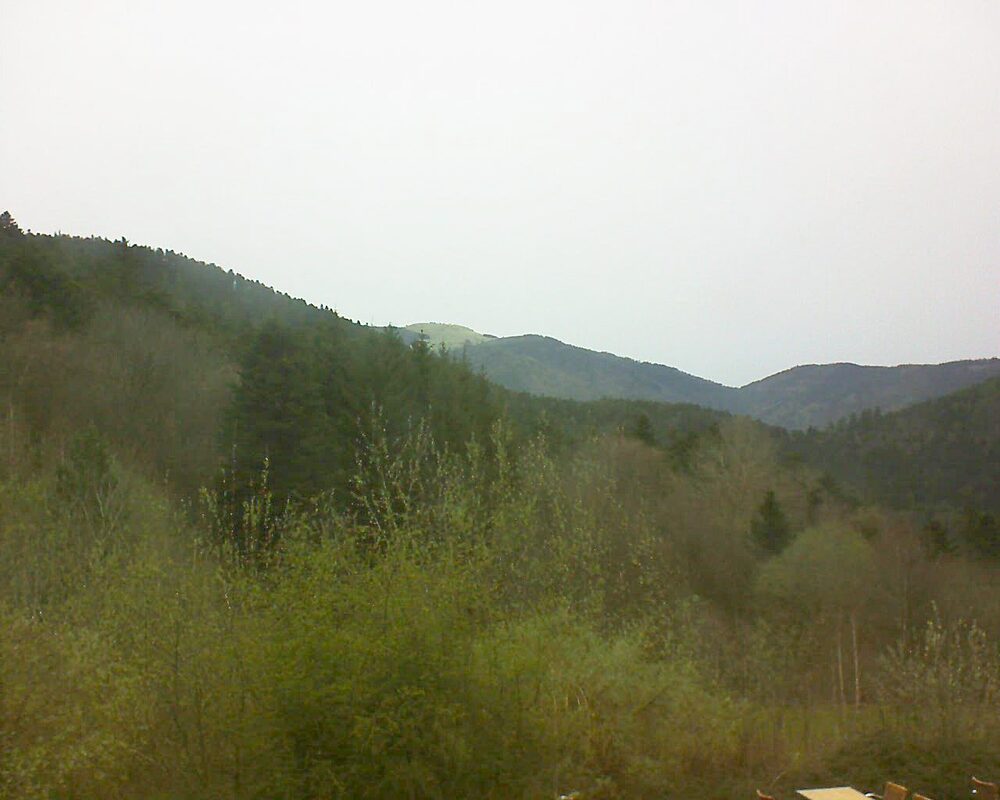 Le petit ballon vu depuis le Domaine Langmatt à Murbach le 30.03.2024 à 07:30 Le petit ballon (Alsace, Vosges) le 30.03.2024 à 07:30