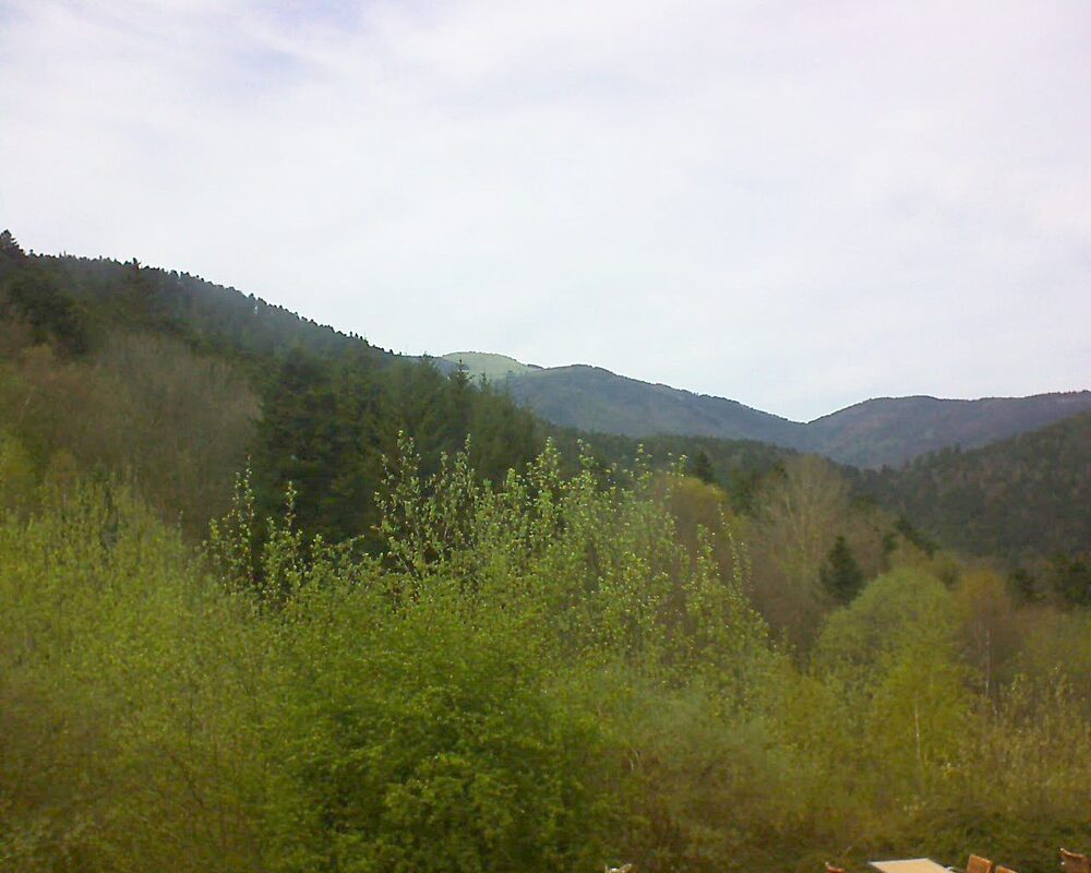 Le petit ballon (Alsace, Vosges) le 11.04.2024 à 15:15